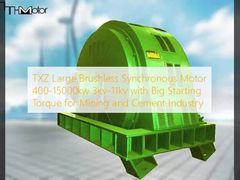 TXZ大型ブラシレス同期モーター 400-15000kw 3kv-11kv 鉱山と水泥産業のための大きなスタートトルク