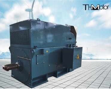 Y800 6000kwの大きいリスは高圧電動機1500r/分IP54をおりに入れる