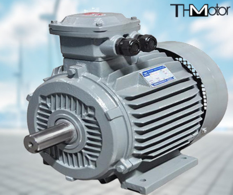 GB30254 高圧防炎電動機ポンプ IP65 165kW