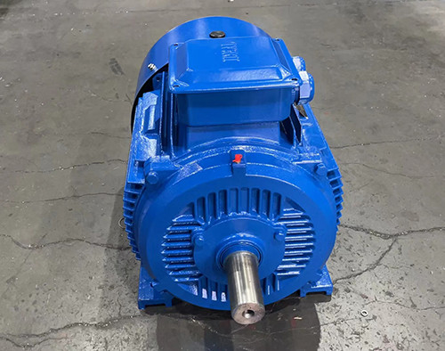 IC0141 連続 S1 動作のための 75mm シャフト直径のリスケージモーター