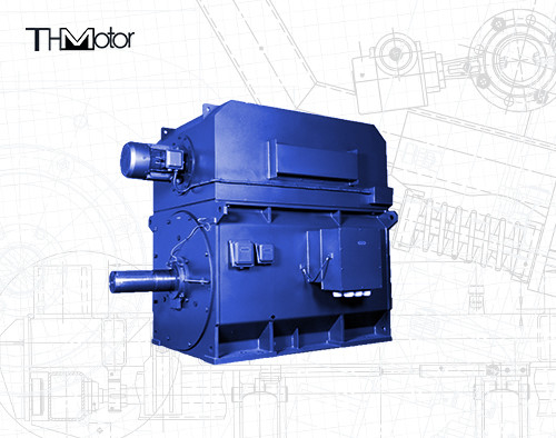 IP55 94.5% 調整速度 三相アシンクロンモーター IEC DNV GB