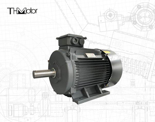 GB30254 高圧防炎電動機ポンプ IP65 165kW