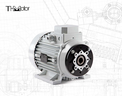 1000〜12000kw 4/6 極電圧 DC モーター 穴型シャフト/固形シャフト 重量用途