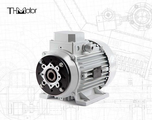 1000〜12000kw 4/6 極電圧 DC モーター 穴型シャフト/固形シャフト 重量用途