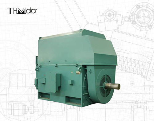 50hz 電圧電動モーター IP23 - IP55 定位電力の範囲 400kwから6000kw