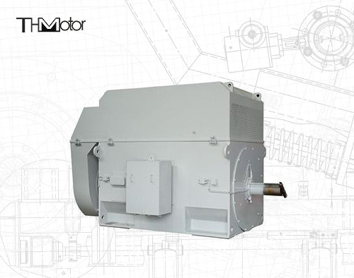 連続3000RPM動作のための100mmシャフトの50Hzリスケージモーター
