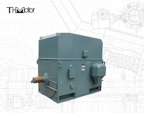 産業用エリスケージ 電動モーター 3000RPM 1250KW 142A IP55連続 S1