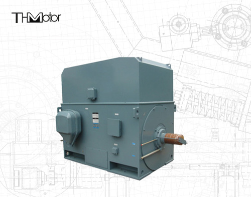 産業用エリスケージ 電動モーター 3000RPM 1250KW 142A IP55連続 S1