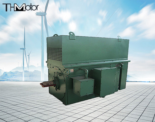 Y900 Y1000の炭鉱の三相非同期高圧電動機900kw 1250kw