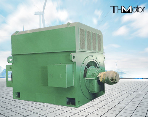 発電所の高性能の電動機900kw 2500kw