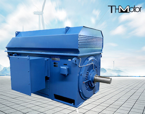 3600rpmスリップ リング高圧電動機50hz 1000kw 6kvへのY450-4 100rpm