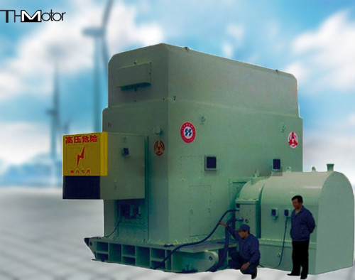 6300KWブラシレス刺激物AC同期電動機IP44 IP54 IP55