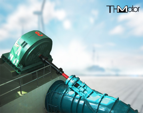 TXZの大規模鉱山の製造所3ph ACブラシレス同期電動機11kv