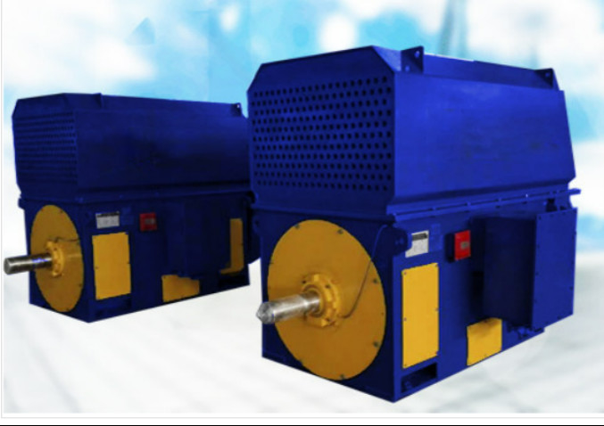TMWブラシレスAC同期電動機の大規模300r/Min 10のKV IEC GB