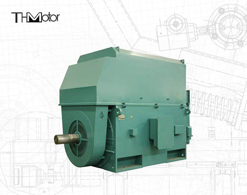 50hz 電圧電動モーター IP23 - IP55 定位電力の範囲 400kwから6000kw