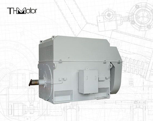 連続3000RPM動作のための100mmシャフトの50Hzリスケージモーター