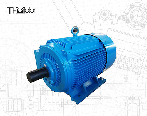 200r/Min縦の製造所の永久マグネット同期電動機20ポーランド人